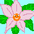 Flowers icon graphics
