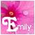 Flowers icon graphics