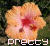Flowers icon graphics