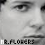 Flowers icon graphics