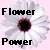 Flowers icon graphics