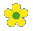 Flowers icon graphics