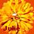Flowers icon graphics