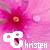 Flowers icon graphics