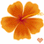 Flowers icon graphics