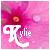 Flowers icon graphics