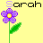 Flowers icon graphics