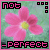 Flowers icon graphics