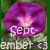 Flowers icon graphics