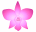 Flowers icon graphics