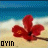 Flowers icon graphics