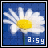 Flowers icon graphics