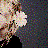 Flowers icon graphics