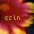 Flowers icon graphics