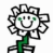 Flowers icon graphics