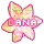 Flowers icon graphics