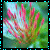 Flowers icon graphics