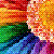 Flowers icon graphics