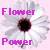 Flowers icon graphics