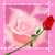 Flowers icon graphics