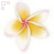 Flowers icon graphics