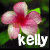Flowers icon graphics