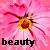 Flowers icon graphics