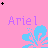 Flowers icon graphics
