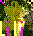 Flowers icon graphics