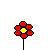Flowers icon graphics