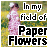 Flowers icon graphics