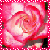 Flowers icon graphics