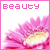 Flowers icon graphics