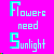 Flowers icon graphics