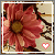 Flowers icon graphics