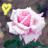 Flowers icon graphics