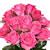 Flowers icon graphics