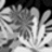 Flowers icon graphics