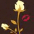 Flowers icon graphics