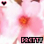 Flowers icon graphics