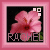 Flowers icon graphics