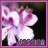 Flowers icon graphics
