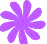 Flowers icon graphics