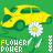 Flowers icon graphics
