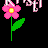 Flowers icon graphics