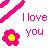 Flowers icon graphics