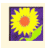 Flowers icon graphics