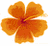 Flowers icon graphics