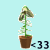 Flowers icon graphics