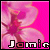 Flowers icon graphics